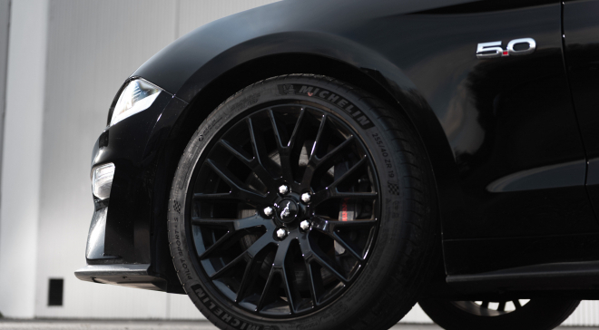 <img src="pubdb/bilder/object/1019/12/660Mustang-015.jpg"/>