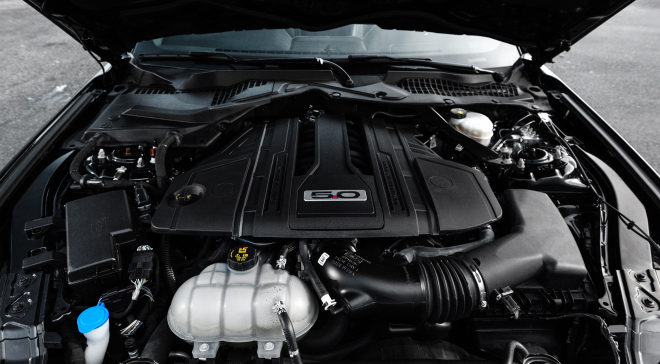 <img src="pubdb/bilder/object/1019/17/660Mustang-034.jpg"/>