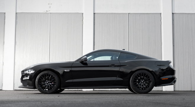 <img src="pubdb/bilder/object/1019/3/660Mustang-012.jpg"/>