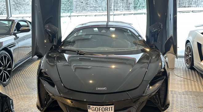 <img src="pubdb/bilder/object/1033/4/660IMG_3562.jpg"/>