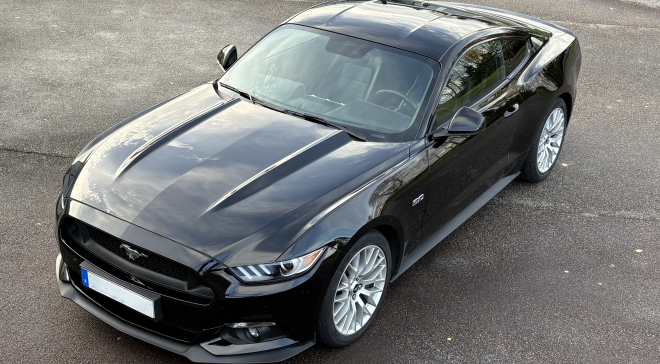 <img src="pubdb/bilder/object/1028/17/660IMG_5758.jpg"/>