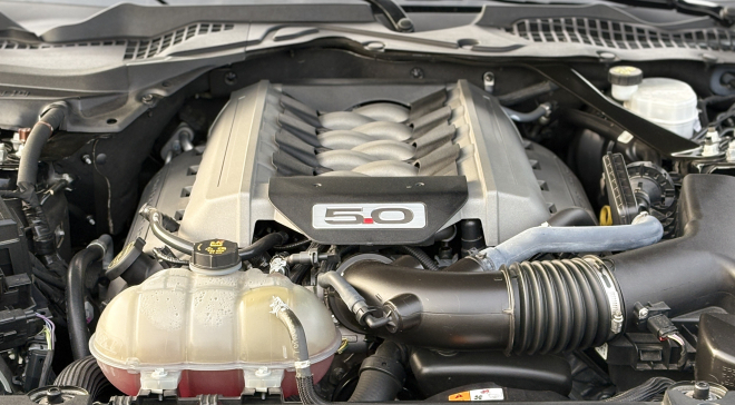 <img src="pubdb/bilder/object/1028/8/660IMG_5805.jpg"/>