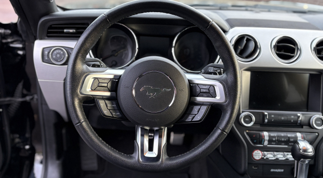 <img src="pubdb/bilder/object/1028/9/660IMG_5789.jpg"/>